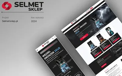 DMSites.pl - Profesjonalne strony i Sklepy internetowe, SEO - Elbląg